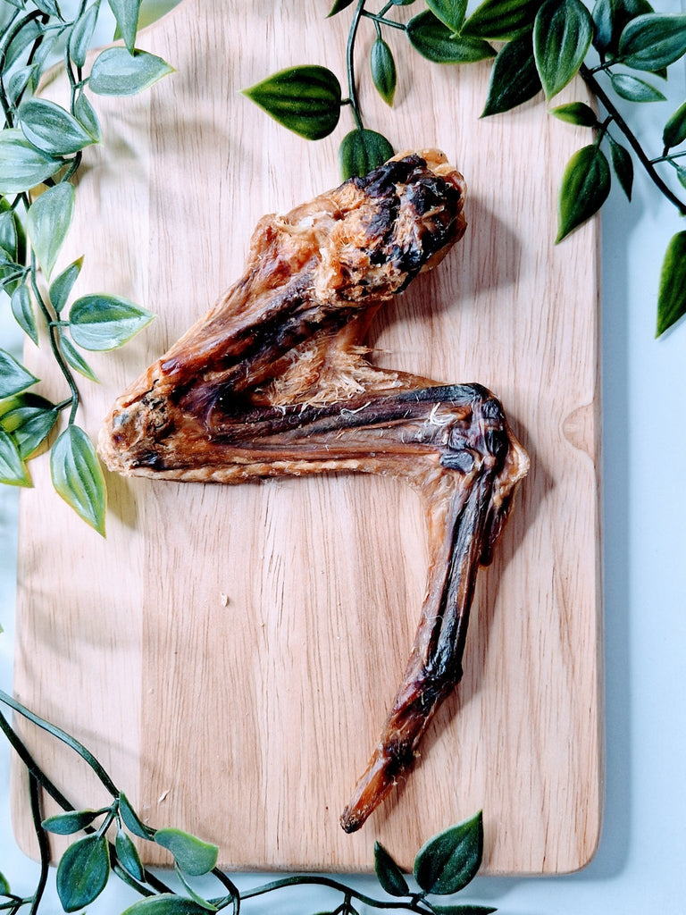 5 Health Benefits of Duck Wings for Dogs - Happy Paws and Claws