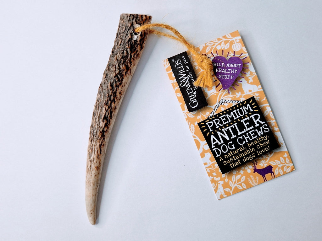 Antler Dog Chew for Puppies - Happy Paws and Claws