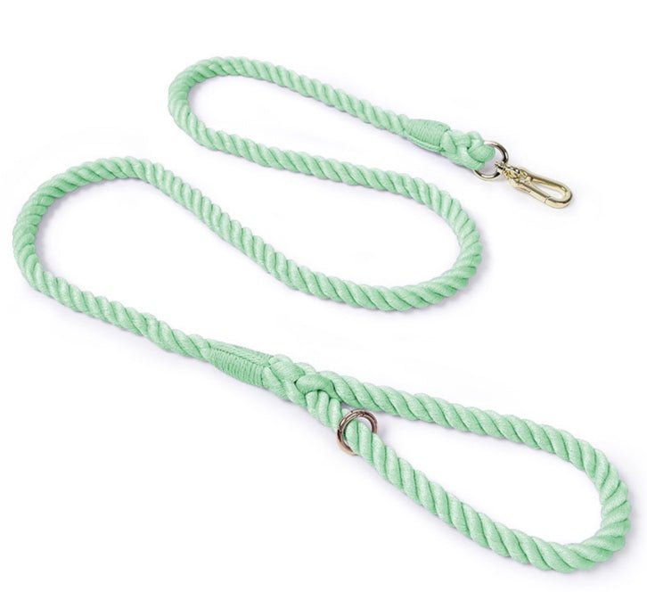 Beautiful Colourful 5ft Cotton Rope Dog Lead - Happy Paws and Claws