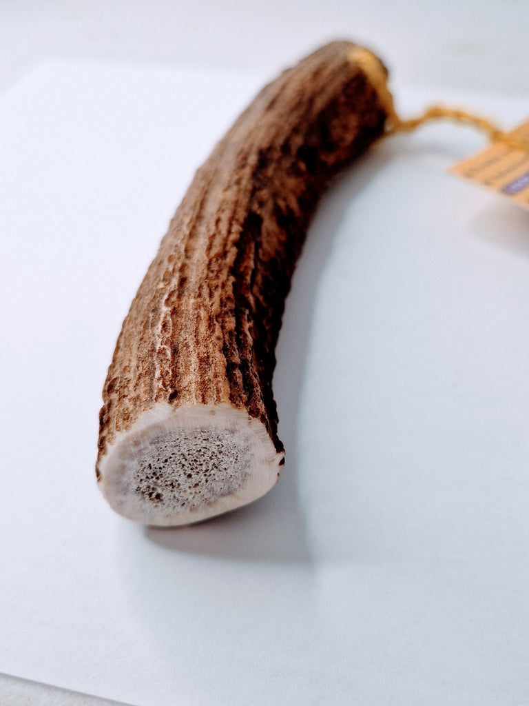 Medium Antler Dog Chews - Happy Paws and Claws